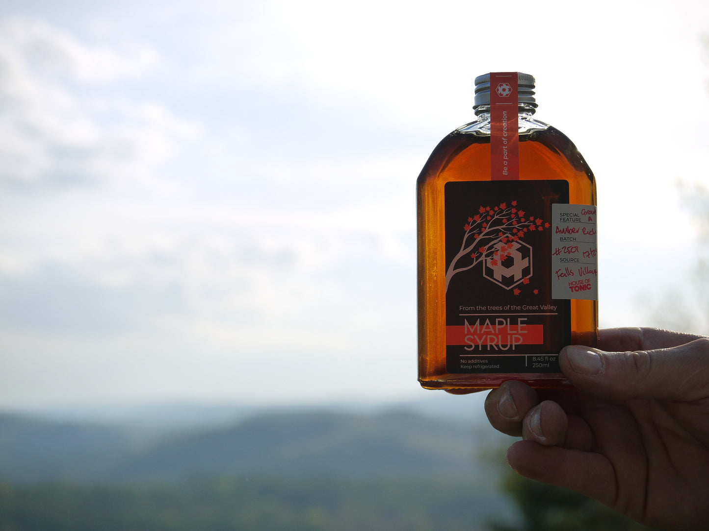 Maple Syrup Batch #2501/2/3 Amber Rich