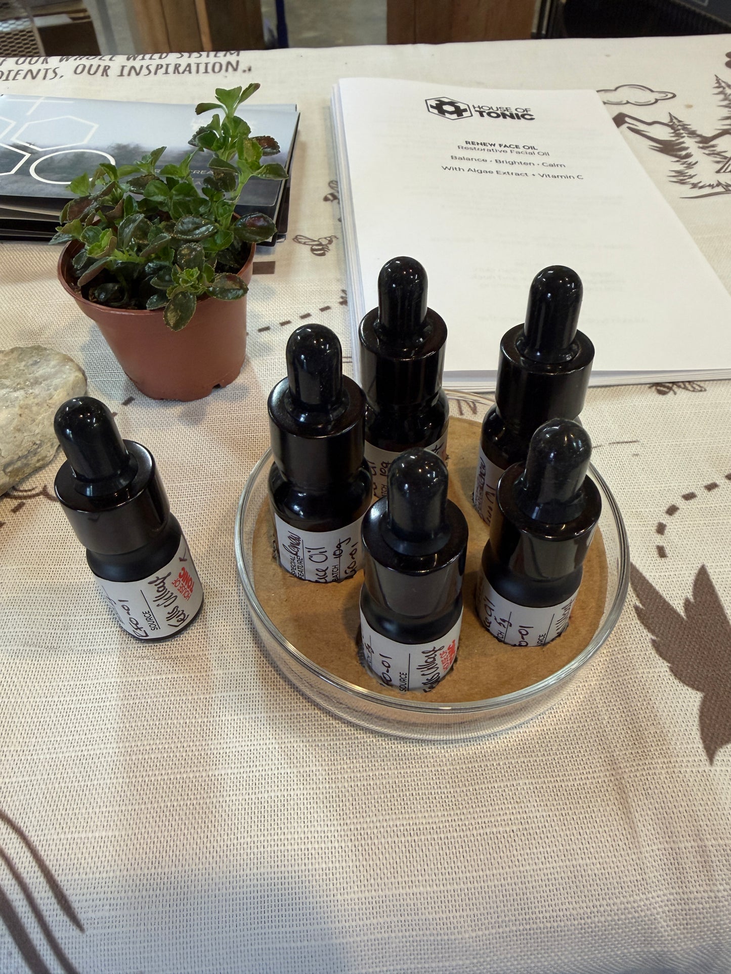 First Light Facial Oil — 10ml