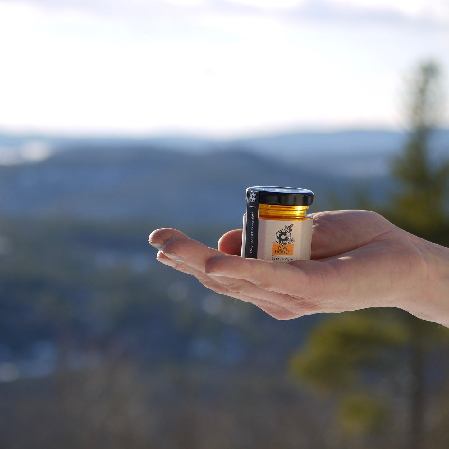 Limited Edition Local Honey. Pure, Raw, Small Batch Harvest